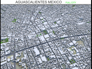 Aguascalientes city Mexico 30km 3D Model