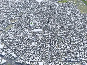 Bahawalpur city Pakistan 25km 3D Model