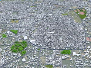 Bahawalpur city Pakistan 25km 3D Model