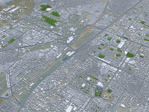 Faisalabad city Pakistan 45km 3D Model