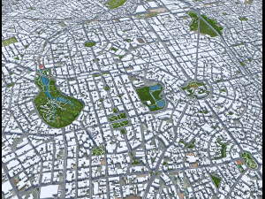 巴西戈亚斯州戈亚尼亚市 50公里 3D 模型