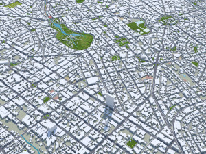 巴西戈亚斯州戈亚尼亚市 50公里 3D 模型