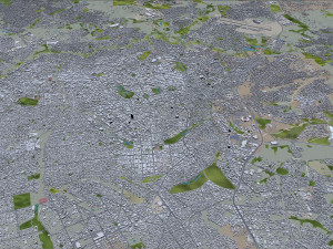 巴西戈亚斯州戈亚尼亚市 50公里 3D 模型