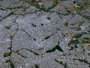 巴西戈亚斯州戈亚尼亚市 50公里 3D 模型