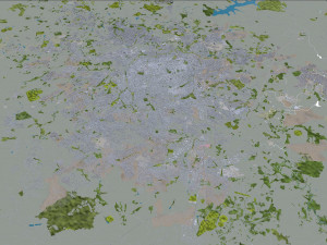 巴西戈亚斯州戈亚尼亚市 50公里 3D 模型