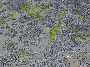 巴西戈亚斯州戈亚尼亚市 50公里 3D 模型