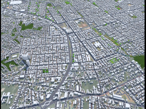 Grande city Sao Luis Brazil 55km 3D-Modell