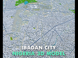 Ibadan city Nigeria 40km 3D 模型