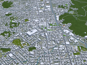 Joinville State of Santa city Catarina Brazil 25km 3D Model
