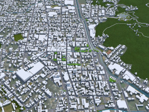 Joinville State of Santa city Catarina Brazil 25km 3D Model