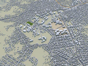 Kananga city Congo 20km 3D Model
