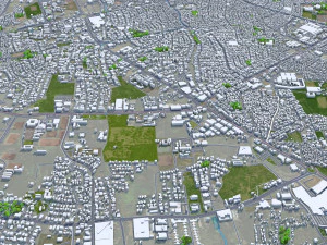 Managua city Nicaragua 30km 3D Model