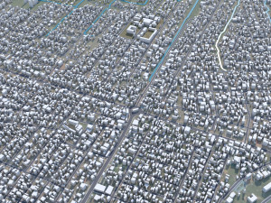 Mbuji city Mayi Congo 20km 3D Model