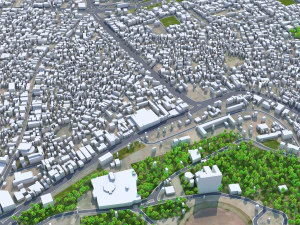 Multan city Pakistan 40km 3D Model