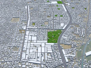 Multan city Pakistan 40km 3D Model