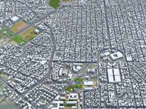 N Djamena city Chad 30km Modèle 3D