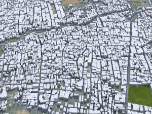Salem city Tamil Nadu India 40km 3D Model