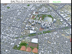 Saltillo city Coahuila Mexico 25km 3D Model