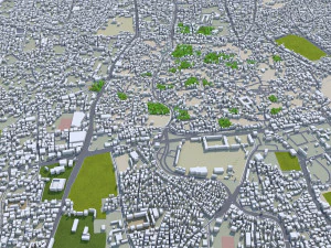 Sanaa city Yemen 30km 3D Model