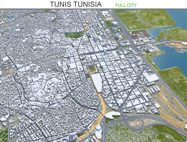 Tunis city Tunisia 30km 3D-Modell .c4d .max .obj .3ds .fbx .stl .blend 
