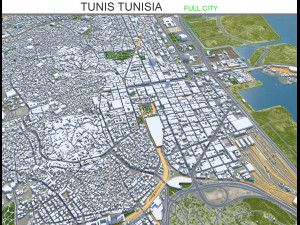 Tunis city Tunisia 30km Model 3D
