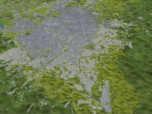 Yaounde city Cameroon 40km 3D Model