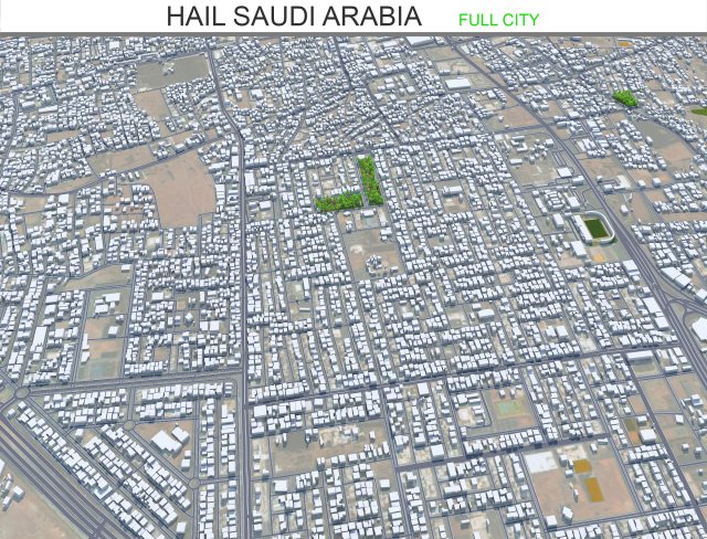 Hail city Saudi Arabia 55km Modelo 3D .c4d .max .obj .3ds .fbx .stl .blend 