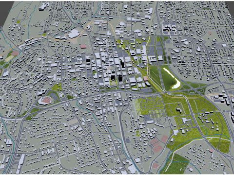 Winston salem downtown city north carolina usa 5km 3D Model
