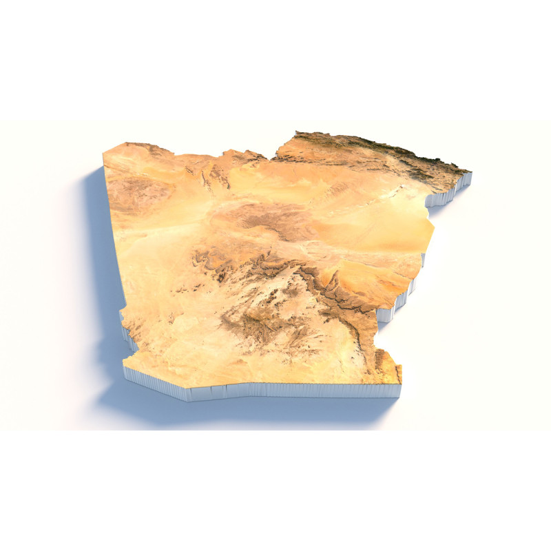Algeria Terrain Map 3Dモデル .c4d .max .obj .3ds .fbx .stl .blend