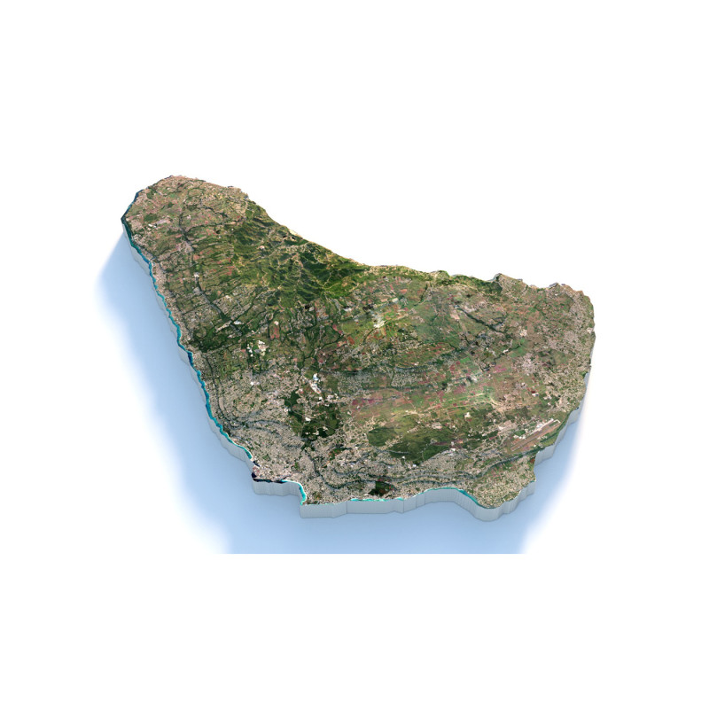 Barbados Terrain Map 3D मॉडल .c4d .max .obj .3ds .fbx .stl .blend
