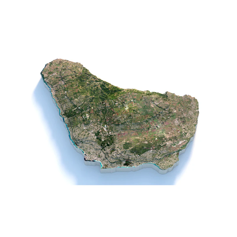 Barbados Terrain Map 3D Model .c4d .max .obj .3ds .fbx .stl .blend 