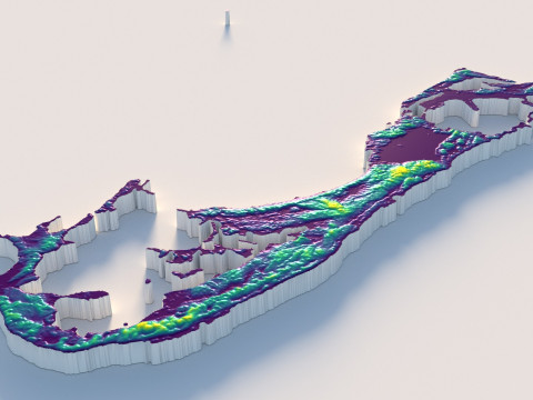 Bermuda Terrain Map 3D 모델