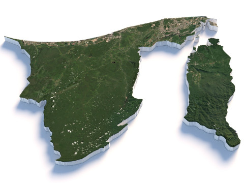 Brunei Terrain Map 3D Model
