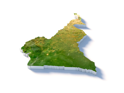 Cameroon Terrain Map 3D Model