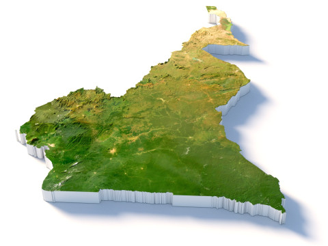 Cameroon Terrain Map 3D Model
