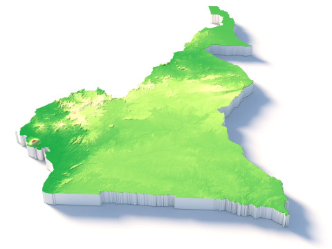Cameroon Terrain Map 3D Model