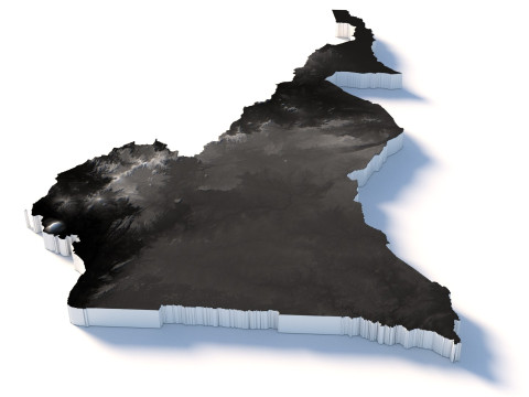 Cameroon Terrain Map 3D Model