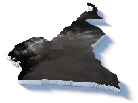 Cameroon Terrain Map 3D Model