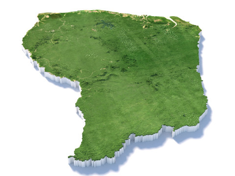 French Guiana Terrain Map 3D-Modell