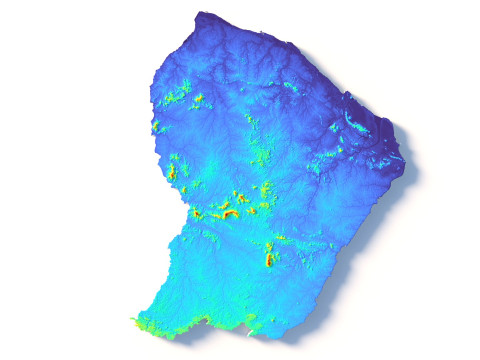 French Guiana Terrain Map 3D-Modell