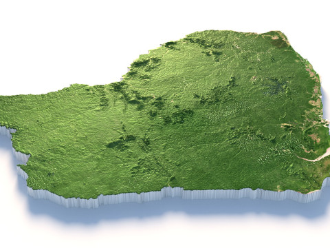 French Guiana Terrain Map 3D-Modell