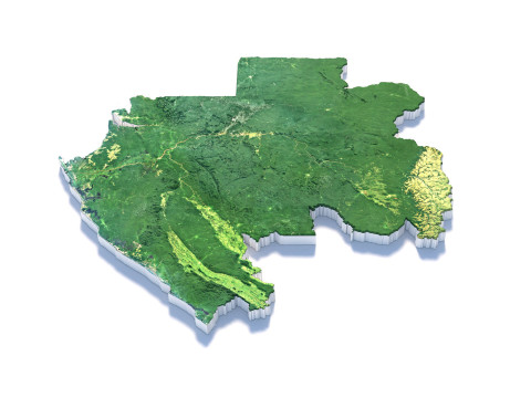 Gabon Terrain Map Modelo 3D