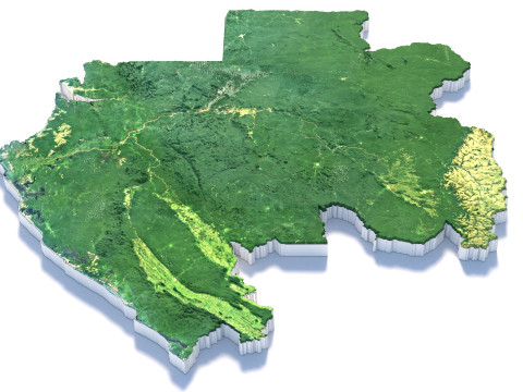 Gabon Terrain Map 3D Modell