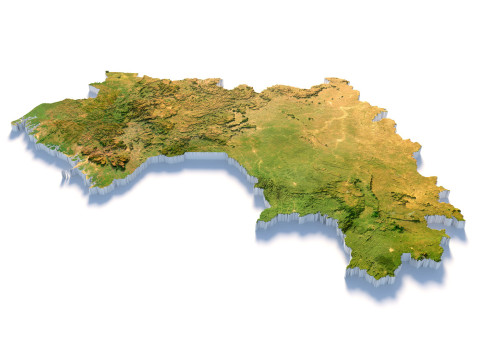 Guinea Terrain Map 3D Model