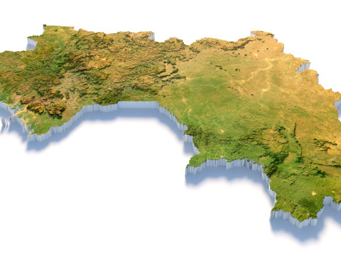 Guinea Terrain Map 3D Model