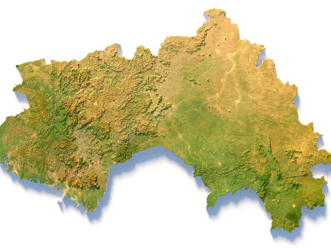 Guinea Terrain Map 3D Model