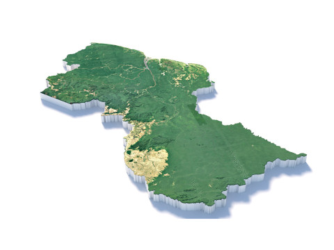 Guyana Terrain Map 3D Model
