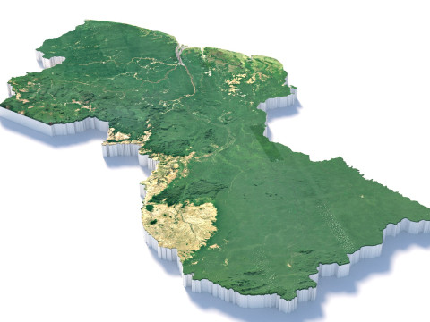 Guyana Terrain Map Modello 3D