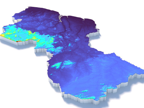 Guyana Terrain Map Modello 3D