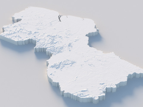 Guyana Terrain Map Modello 3D